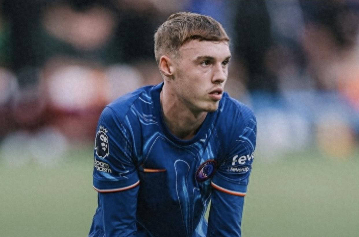 标准化的反 标准化的反